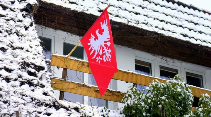 Powstanie Wielkopolskie - Sukces zbrojny