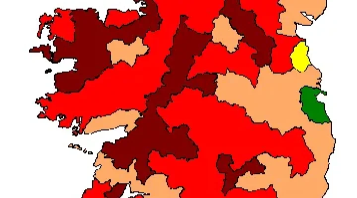 Wielki Głód w Irlandii - katastrofa demograficzna