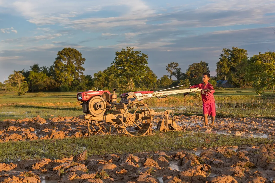 Boy plowing with a tractor at sunset in Don Det, Laos